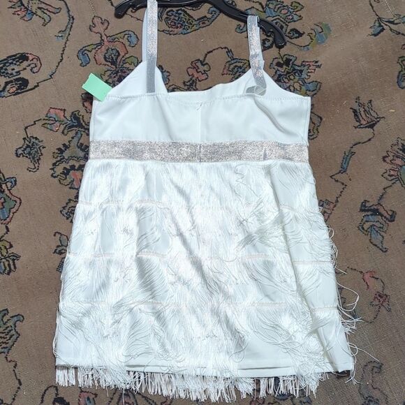 Plus sized Women's Sequin Fringe Dress Party Sexy Dress, Flapper, 1920s - Picture 4 of 5